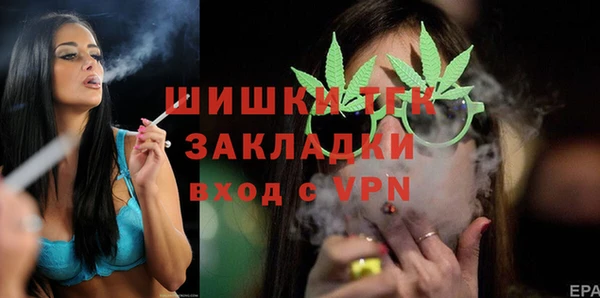 хмурый Алексин