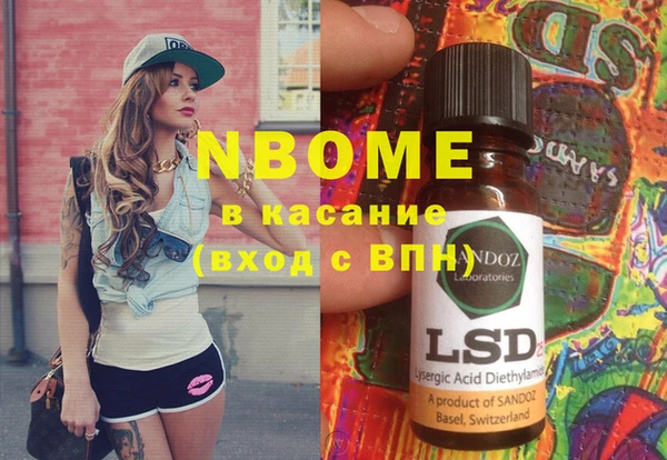 хмурый Алексин
