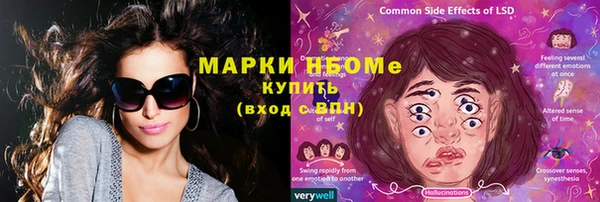 хмурый Алексин