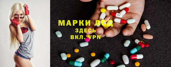 хмурый Алексин