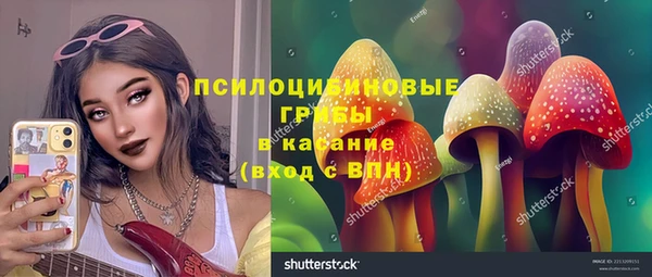 хмурый Алексин
