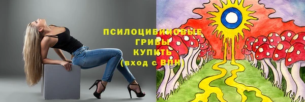 хмурый Алексин