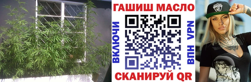 как найти   Ивангород  Дистиллят ТГК концентрат 